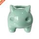 Bulbasaur Flowerpot Succulent Planter Kawaii Cute Ceramic