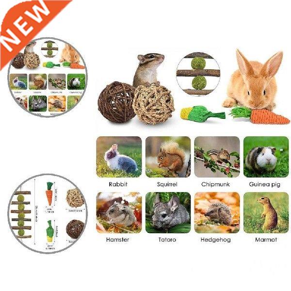 Natural 9Pcs/Set Safe Small Animal Play Chew Toys Mixed
