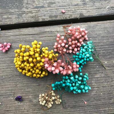 The specified color is not accepted,Color random !!! Natural