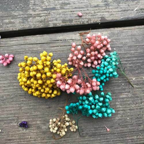 The specified color is not accepted,Color random !!! Natural