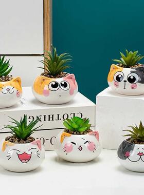 Wholesale Korean Cartoon Cute Animal Flower Pot Round Cat Fi
