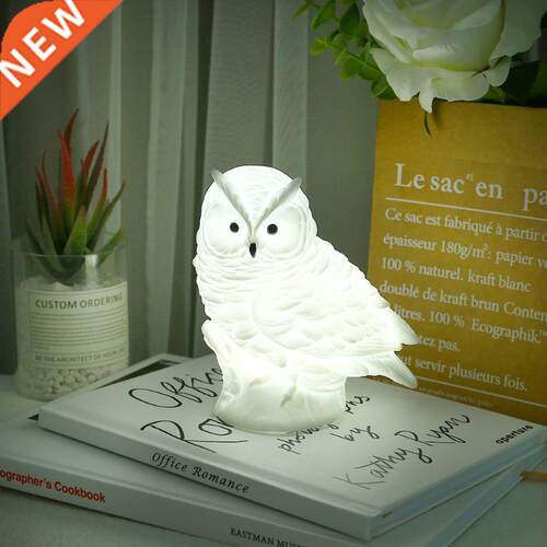 Night Lights DC5V LED Owl Night Lamp Desk Table Lamps LR44 B
