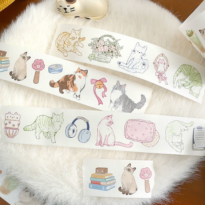 信的恋人猫猫去哪了和纸胶带