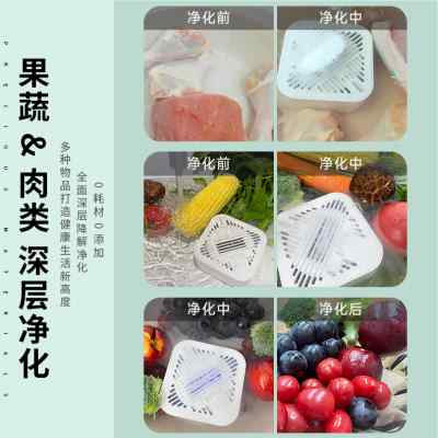 无线果蔬清洗机家用除农残洗菜机食材食物净化器