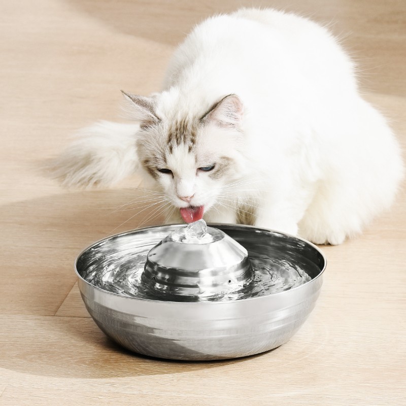 不锈钢猫咪饮水机宠物自动流动循环喝水器不锈钢防黑下巴饮水器