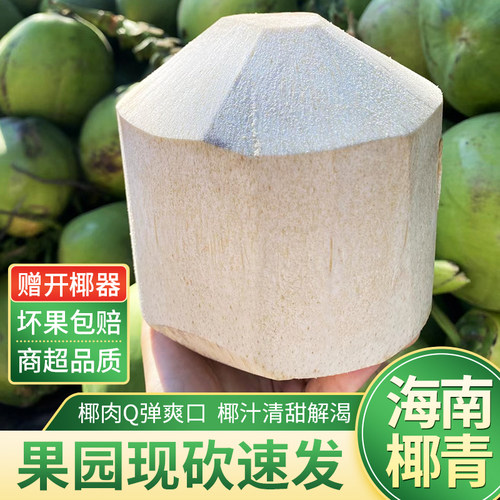 海南文昌去皮椰子孕妇补羊水果