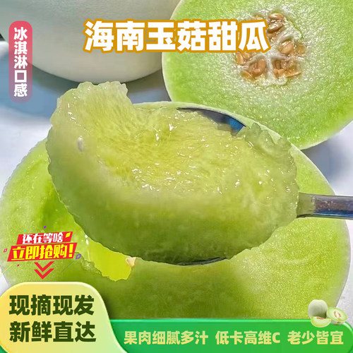 海南玉菇甜瓜现摘当季蜜瓜香瓜