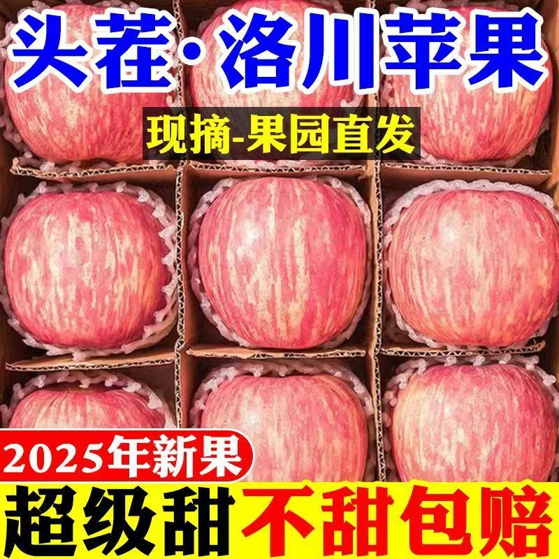 正宗陕西延安洛川苹果整箱当季新鲜现摘脆甜糖心平果产地直销直发