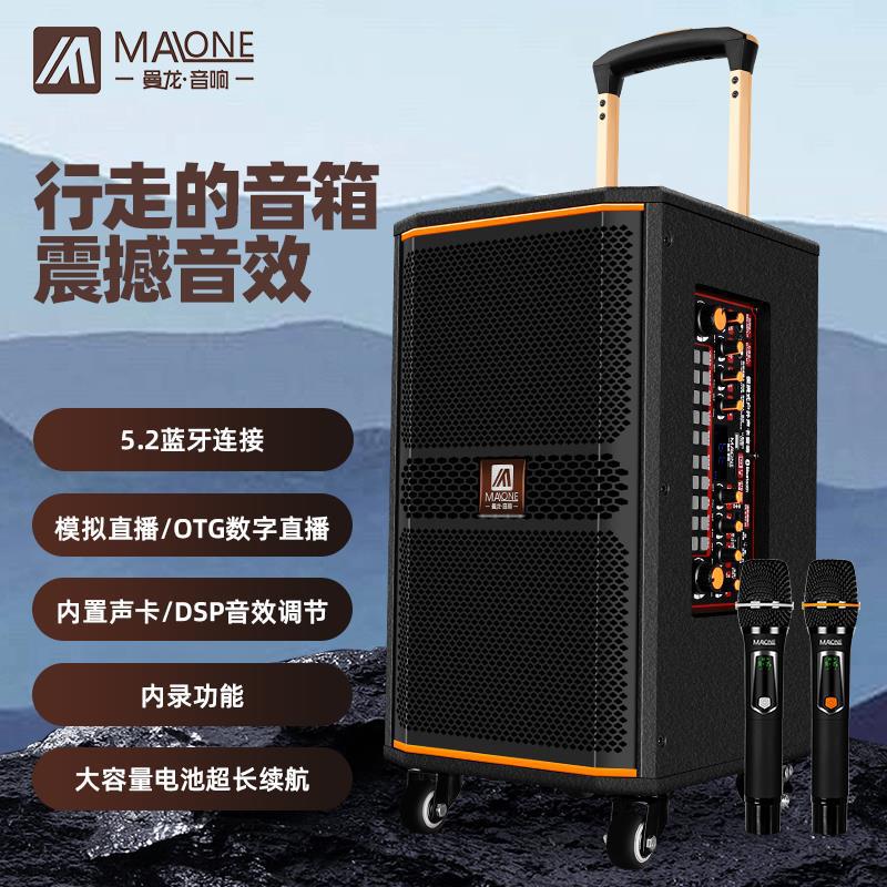 曼龍音響戶外k歌帶聲卡移