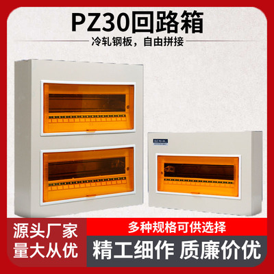 PZ30回路配电箱工程用明装家用空气开关箱暗装强电箱国标电箱总控