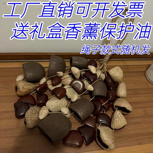 四果混合摇铃果壳水铃桐天然植物