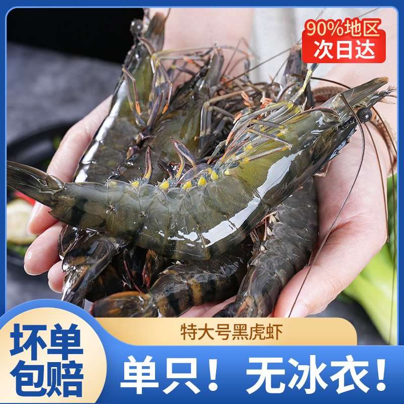 国联水产黑虎虾特大号