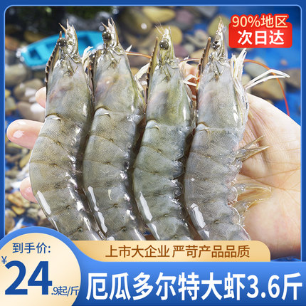 大虾特大号鲜活冷冻速冻生鲜虾类海鲜水产新鲜3040冻虾南美白对虾