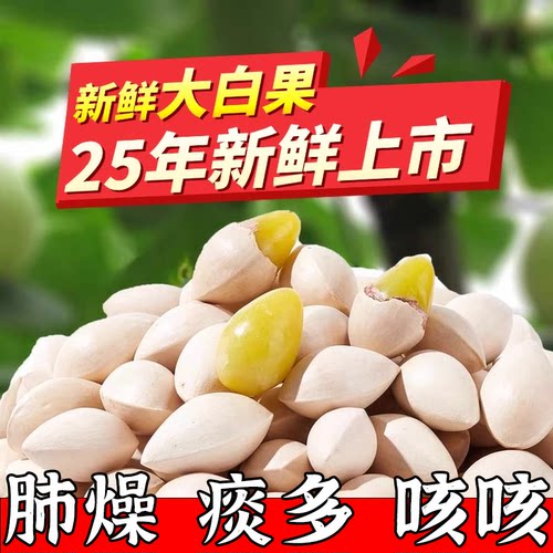 新鲜大颗带壳白果2025年新货