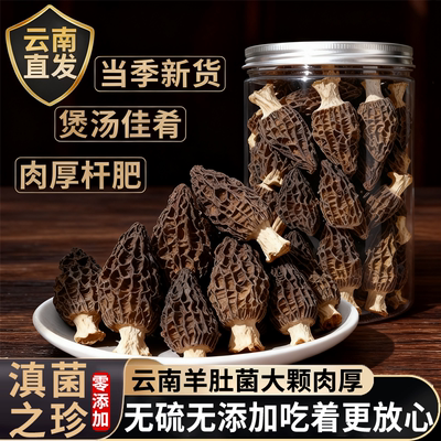 羊肚菌干货旗舰店正品云南野生新鲜羊肚菌头茬一级菌菇煲汤食材