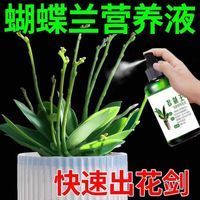 蝴蝶兰多剑王正品兰花营养液体肥料君子兰蝴蝶兰墨兰料生长多花剑