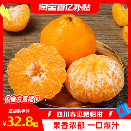 【恰好庄园】 四川春见耙耙柑4.5斤新鲜水果柑橘酸甜可口包邮