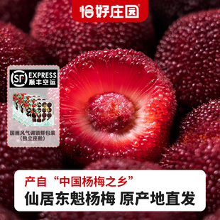 【恰好庄园】浙江仙居东魁杨梅新鲜独立包装水果整箱空运包邮