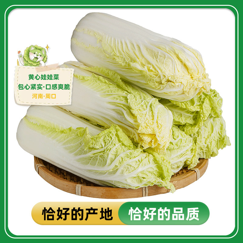 【恰好庄园】河南娃娃菜脆嫩甜应季蔬菜3斤整箱包邮新鲜