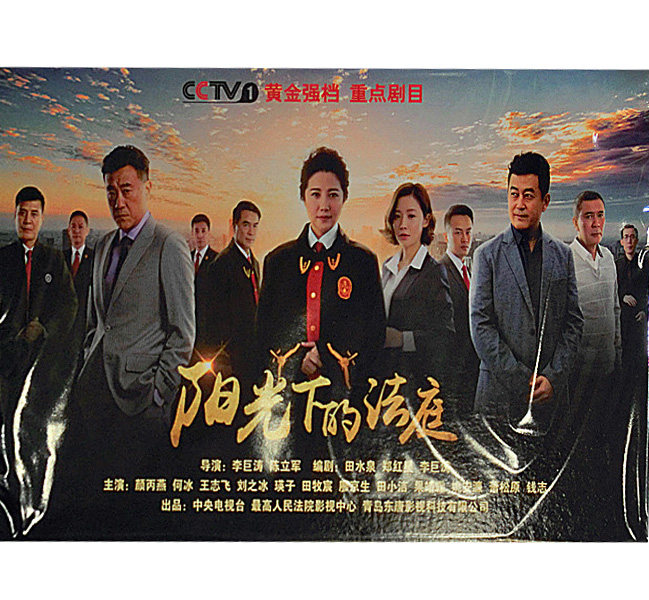 正版电视剧 阳光下的法庭 高清珍藏版12dvd光盘碟片  颜丙燕 何冰