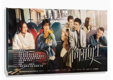 正版电视剧 都市励志情感 向阳而生 14dvd珍藏版碟片 蒋欣 高伟光