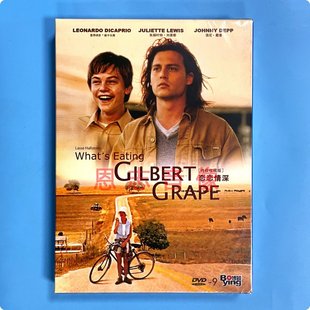 恋恋情深DVD9家庭成长亲情青春温情人生 电影光盘碟片 正版 经典