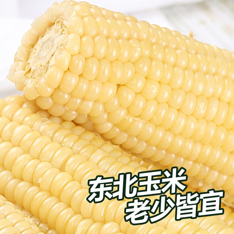 四平玉米东北白糯粘玉米新鲜真空装包装非转基因280-350g*8支/箱