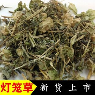 灯笼草 中药材倒地铃 打卜草 打额泡天泡草 黄灯笼草药黄姑娘包邮