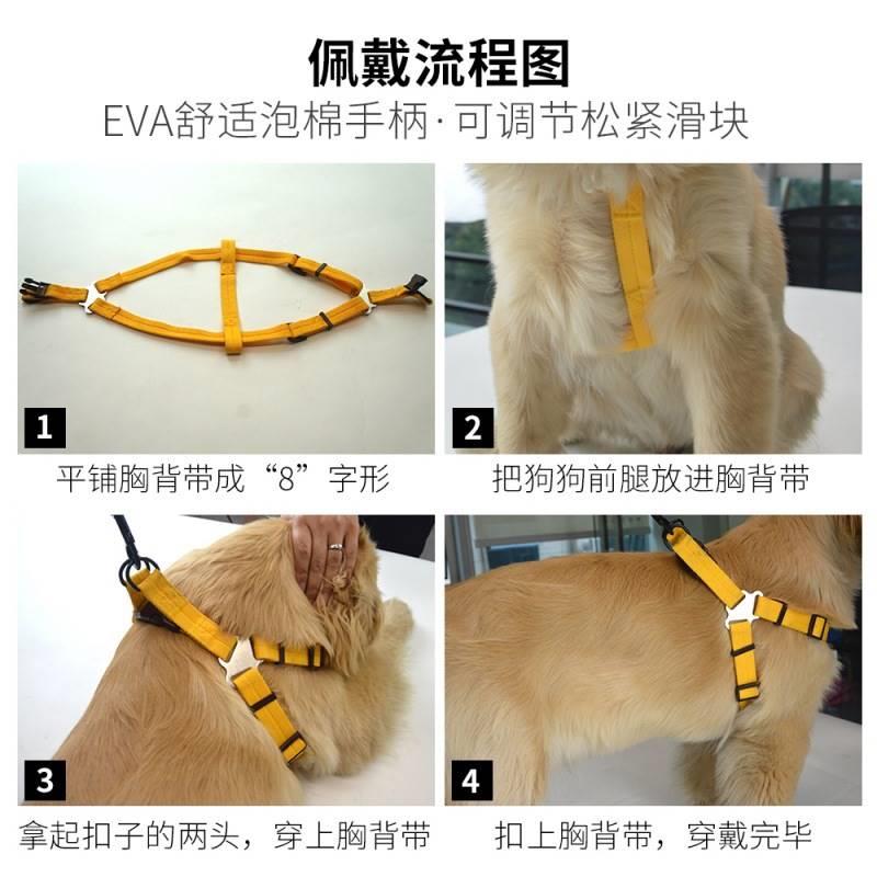 高档狗背绳狗狗中用品牵引绳迪金毛小大型犬遛狗胸带宠物用品亚马