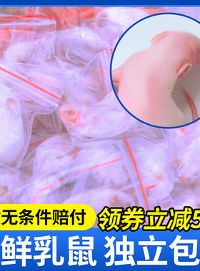 小白鼠红皮喂蛇粉皮白霜食物乳鼠冰冻宠物蛇饲料粮喂幼猫龟包邮装