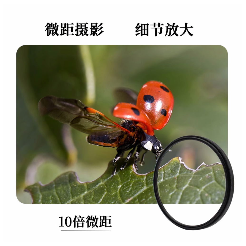 Lightdow+10微距滤镜