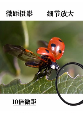 Lightdow +10微距滤镜 放大拍摄细节 捕捉微小细节 适合昆虫植物花卉珠宝细小物品拍摄 扩展摄影创意