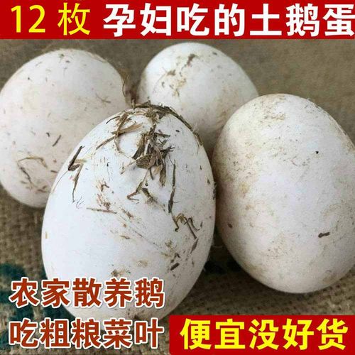 顺丰可选新鲜鹅蛋孕妇农家散养土鹅蛋正宗特产12枚大个生鹅蛋精品