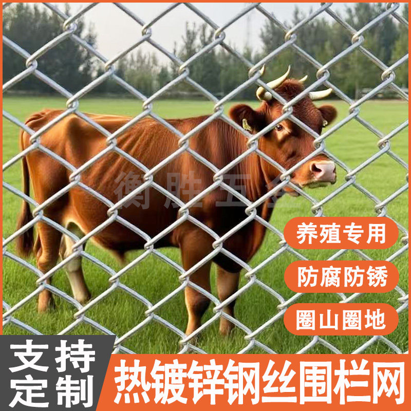钢丝网铁丝网围栏网养鸡狗牛羊养殖网勾花网钢丝网户外防锈热镀锌,五金/工具,护栏/隔离栏,淘宝优惠券,粉丝福利购,淘宝优惠卷