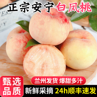 包郵 整箱子現(xiàn)摘桃子 甘肅蘭州安寧白鳳桃白粉桃水蜜桃水果新鮮當(dāng)季
