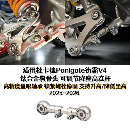 杜卡迪Panigale街霸V4降座高连杆