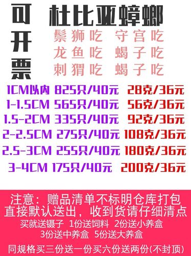 爬视界杜比亚蟑螂1cm内幼体1-1.5CM蜥蜴鬃狮鱼守宫蜈蚣活体