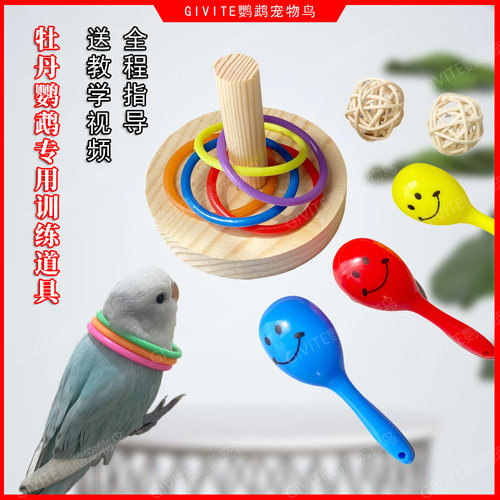 玄凤虎皮牡丹鹦鹉啃咬益智解压