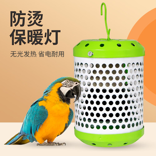 陶瓷保温灯宠物芦丁鸡玄风鹦鹉过冬神器鸟笼养鸡小鸡育雏保温灯 - 封面