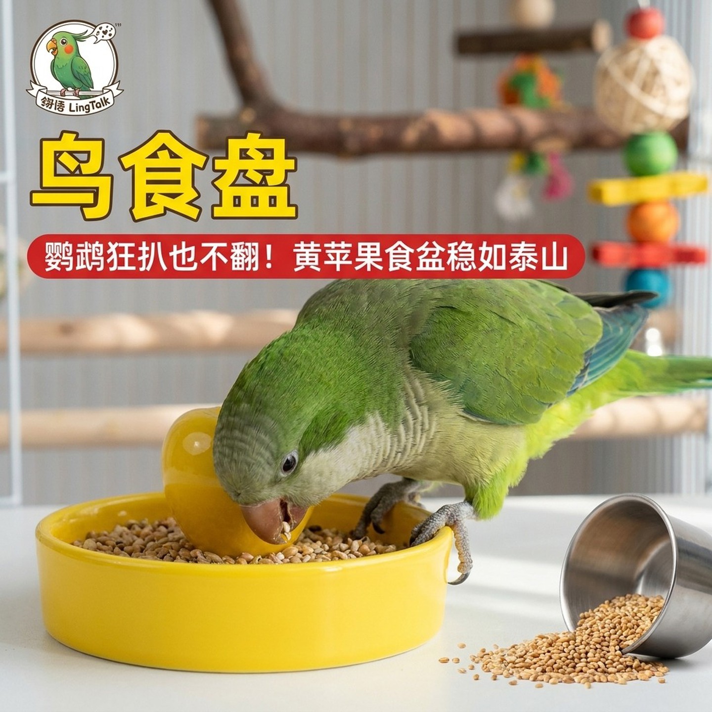和尚鹦鹉食盒食碗喂食器陶瓷小碗图片