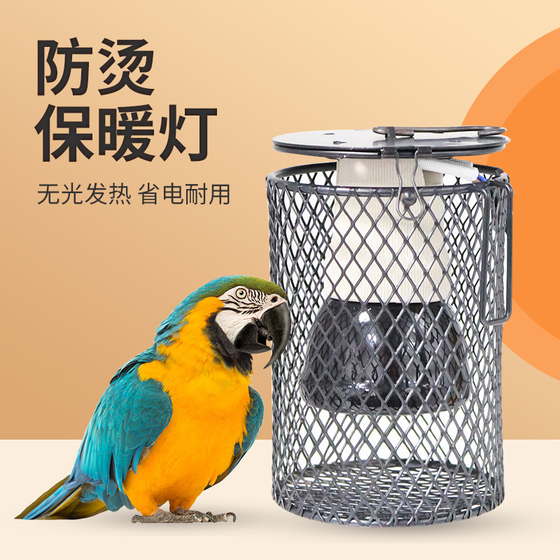 鹦鹉雏鸟保温灯过冬神器小鸟用取暖器保温无光陶瓷加热加温取暖灯,宠物/宠物食品及用品,鸟类温控设备,淘宝优惠券,粉丝福利购,淘宝优惠卷