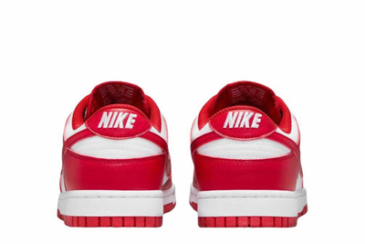 Nike Dunk 皮革 柔软舒适薄底 低帮 板鞋 女款 DD1873-116 毅博仓
