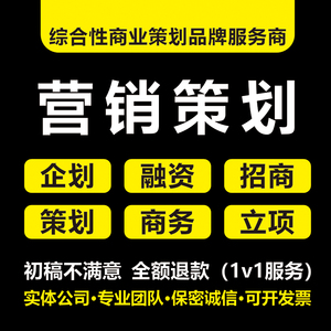 商业计划书撰写代做创业融资ppt项目策划方案可行性研究报告代写