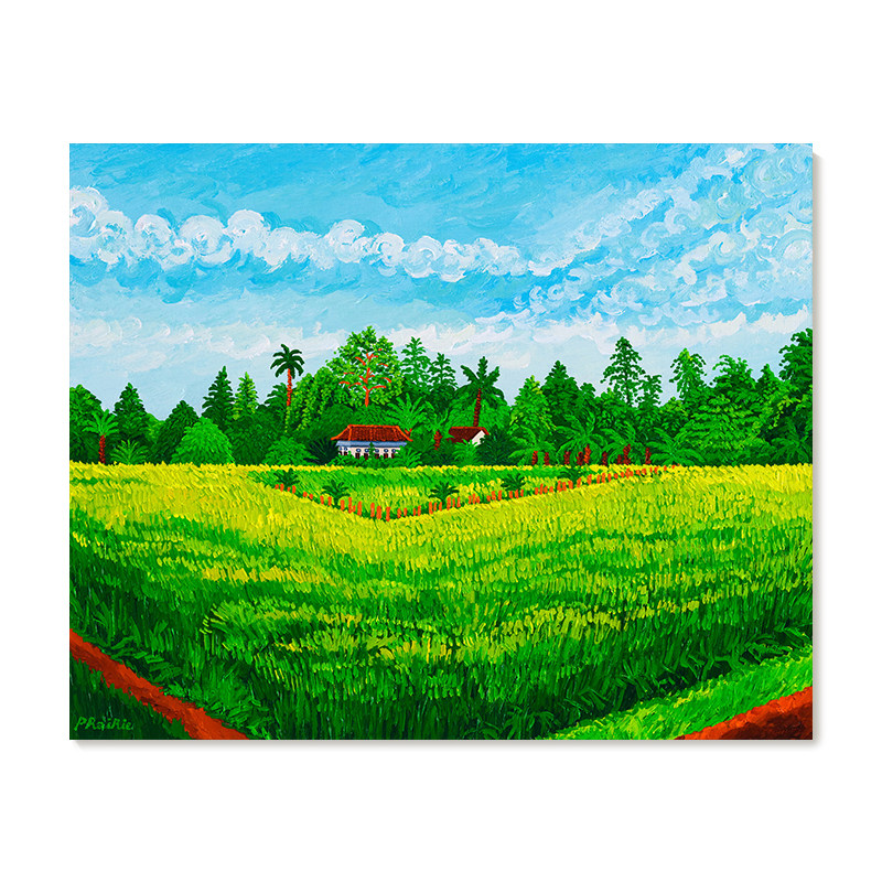 【特惠捡漏】插画Prairie复刻艺术版画治愈田园风景绿色装饰画芯