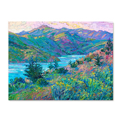 特惠捡漏 Erin Hanson油画家复刻艺术版 画印象派风景装 饰画芯