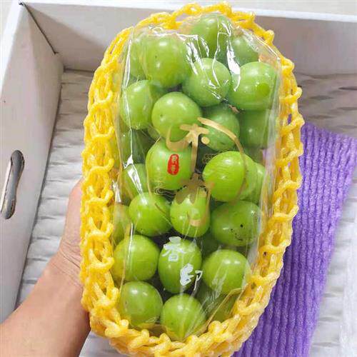 葡萄包装紫色黄色网套晴王精品纸袋腰封阳光玫瑰物流运输包装盒
