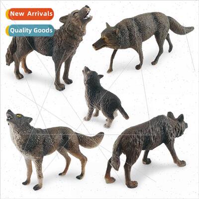 Brown wolf snarling wolf predator wolf head up wolf walking