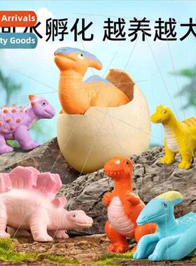 Dinosaur eggs hatching eggs soaking water can be expanded de