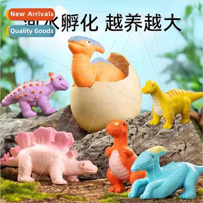 Dinosaur eggs hatching eggs soaking water can be expanded de
