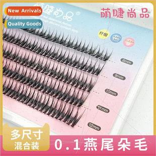 Eyelash fishtail Swallowtail sin size False multi 0.1 rows